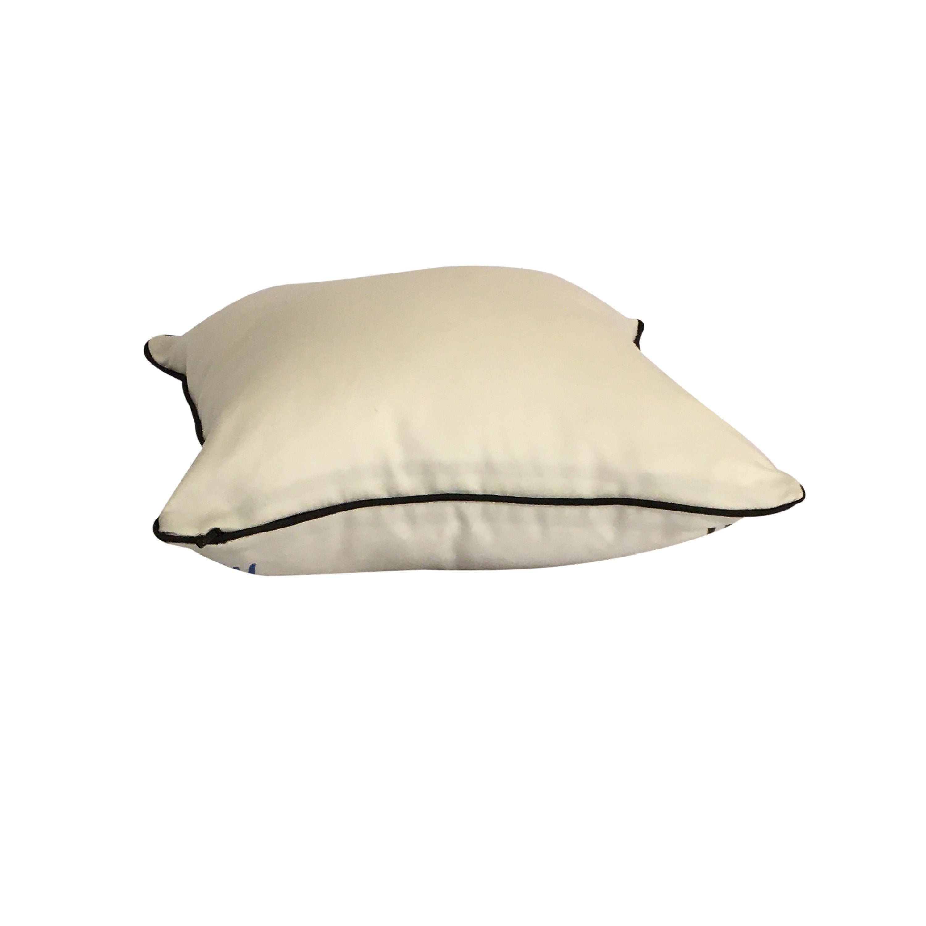 Pillow Cover Gift for Woman, Hand Painted Throw Pillow, Women of Truth Pillow