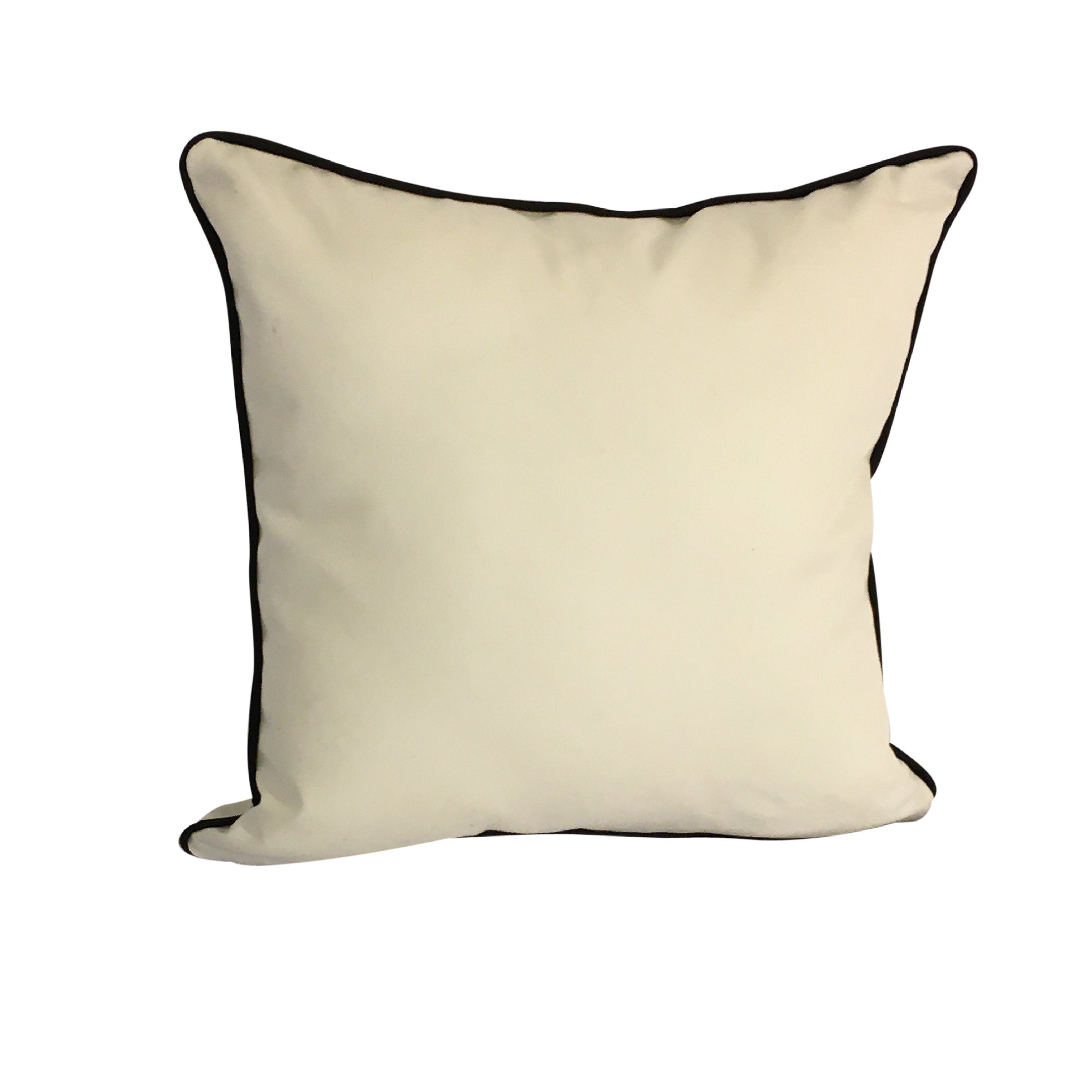 Pillow Cover Gift for Woman, Hand Painted Throw Pillow, Women of Truth Pillow