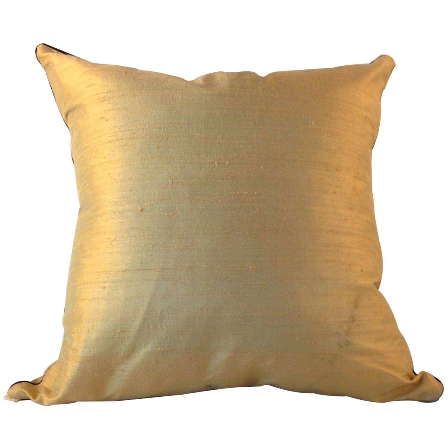 Hand Painted Flower Pillow Cover, LINED SILK Pillow, Pillow with Leaves, Tan SILK Pillow